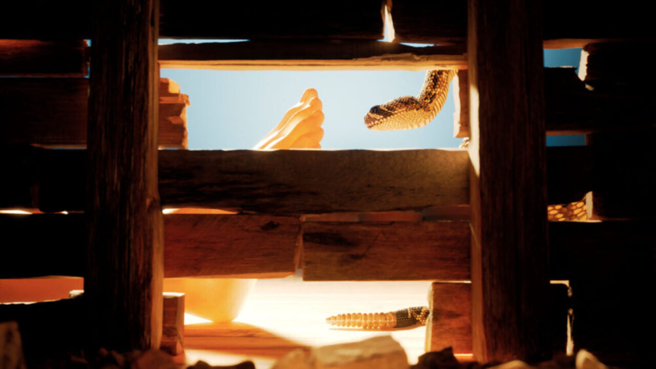 ShorTs Iff Featured Image