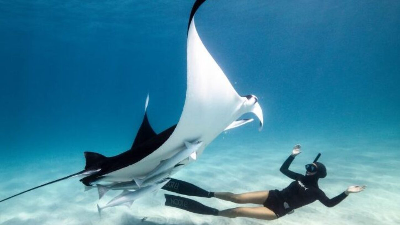 OCEAN FILM FESTIVAL ITALIA 2024 Featured Image