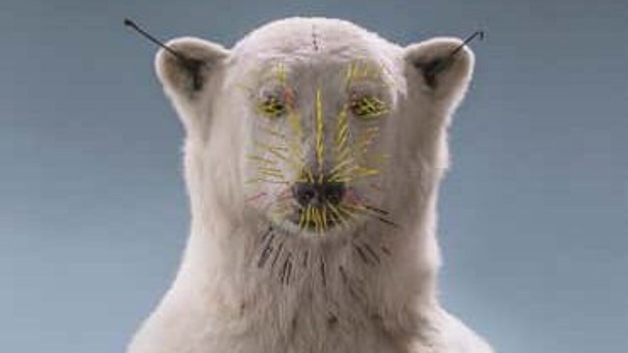 ARCHIV DER ZUKUNFT (ARCHIVIO DEL FUTURO) Featured Image