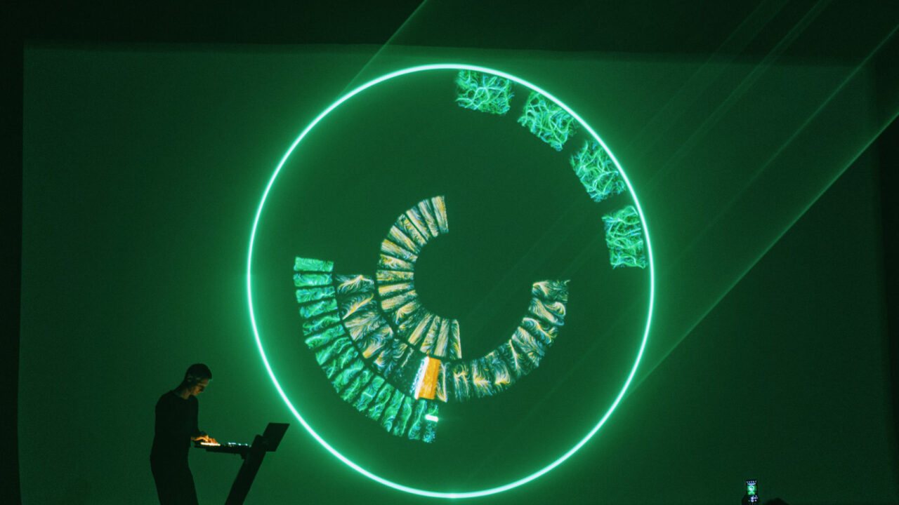 NEAT FESTIVAL Featured Image