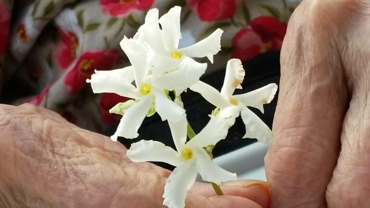 CAREGIVING – Prendersi cura, perdersi, ritrovarsi Featured Image